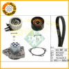 KIT DISTRIBUZIONE INA 530056130