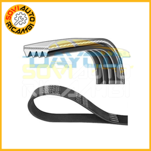 DAYCO 4PK698 CINGHIA POLY-V