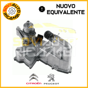 3981000089 ATTUATORE FRIZIONE CITROEN