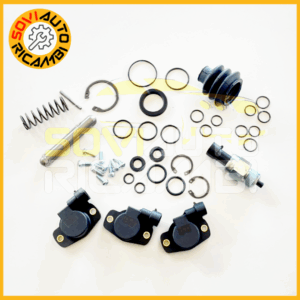 KIT RIPARAZIONE DUALOGIC BENZINA GOMMINI + SENSORI